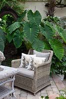 Seating area in a courtyard garden with arrow leaf in pots 