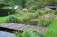 Pond in late summer 