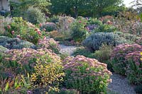 Perennial bed in late summer 