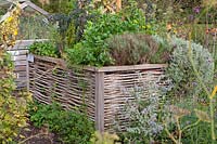 Raised bed with herbs in autumn 