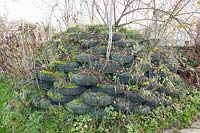 Raised bed made of stacked car tires 