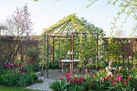 Seating area in an arbor made of espalier pears, Pyrus communis 