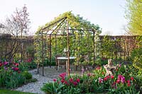 Seating area in an arbor made of espalier pears, Pyrus communis 