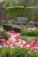 Seating by the tulip bed 