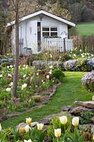 Spring bed at the garden house, Phlox subulata 