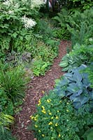 Mulch path in the shade garden 