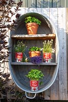 Old zinc tub as a shelf for herbs 