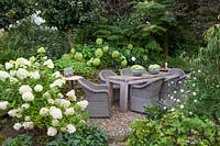 Seating area with hydrangeas, Hydrangea arborescens Annabelle, Hydrangea paniculata Limelight 