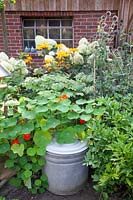 Bed in the vegetable garden 