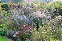 Bed with asters in September 