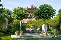 Seating area under two ball trees, Catalpa bignonioides Nana 