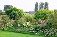 Bed in September, Liquidambar styraciflua Gumball, Quercus palustris Green Dwarf 