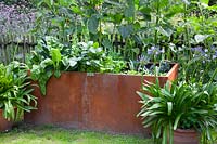 Raised bed made of Corten steel with vegetables 