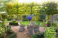 Seating area under espalier linden trees, Tilia cordata 