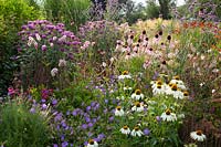 Prairie Border, Echinacea purpurea Alba, Echinacea pallida, Monarda Scorpion, Geranium Rozanne, Prairie Border, Echinacea purpurea Alba, Echinacea pallida, Monarda Scorpion, Geranium Rozanne 