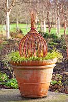 Garden decoration made of colorful dogwood branches 