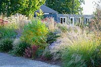 Bed with grasses and perennials in September 