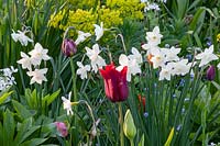 Bed in spring 