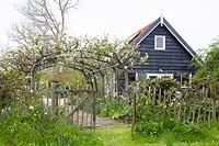 Country house garden with pergola made of pear trees, Pyrus domestica 
