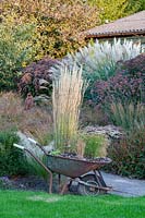 Grasses planted in a wheelbarrow, Calamagrostis acutiflora Karl Förster 