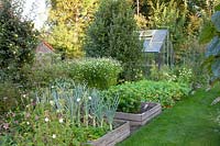 Beds in the vegetable garden 