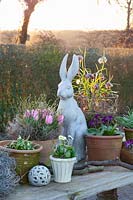 Spring flowers with Easter bunny 