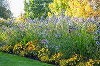 Bed with marigolds and bumblebee swing, Salvia uligunosa 