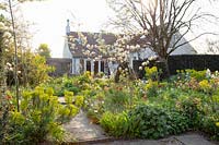 Country garden in spring 