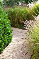 Curved path in the garden 