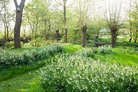 Natural garden with summer turret, Leucojum aestivum 