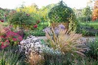 Autumn bed with asters, roses and Calamagrostis brachytricha 