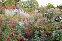 Autumn bed with grasses 