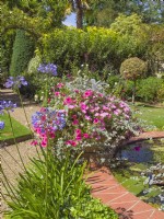 Container of mixed bedding at edge of Lily Pond