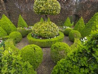 East Ruston Old Vicarage - Dutch Garden. Geometric layout of box pyramids, balls and hedges.