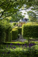 View across formal garden with clipped hedging and a summerhouse, with Allium 'Purple Sensation' in foreground.