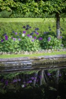 Allium 'Purple Sensation' edges a formal pond and are reflected in the water.