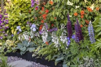 Summer border planted with Lupinus, Hosta, Iris and Geum