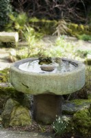 Bird bath in a garden in February