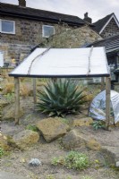 Agave under winter protection in the Sunken Garden at York Gate in February