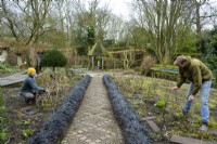Gardeners constructing hazel supports for herbaceous perennials at York Gate Garden in February