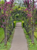 Apple Arch at Barnsdale Gardens Malus Maypole in the foreground, April