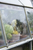 Pots of cacti in the glasshouse at York Gate Garden in February