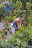 Woman working in kitchen garden - deadheading marigold flowers.