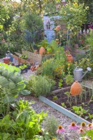 Raised beds in the kitchen garden full of growing vegetables, and along the edges are many flowers to attract beneficial wildlife.