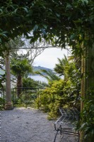 Trachelospermum jasminoides grows around the entrance to a classical style temple with a view towards the St Mawes Harbour