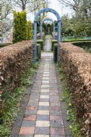 Paved path with hedges of Beech and blue painted wooden arches. 