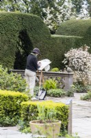 Artist in Residence Clair Hodgson sketching in the Yew Garden. April. Spring. 