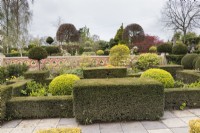 Clipped Yew hedges with Box mounds in the Howdah Garden. April. Spring. 