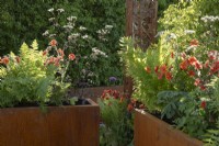 Corten steel planters and ornamental structure with planting combination including Geum 'Scarlet Tempest' and Anthriscus sylvestris 'Ravenswing'. Corten products made by Weather It.