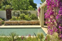 View across Mediterranean garden with large pool surrounded by arid planting, includes Stipa tenuissima, Yucca, Chamaerops humilis and blooming climbing Bougainvillea spectabilis. June
Designer: Alan Rudden
